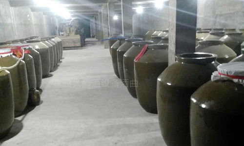 用大型釀酒設(shè)備創(chuàng)業(yè)1年,申泉酒業(yè)成功拿到酒類食品生產(chǎn)許可證